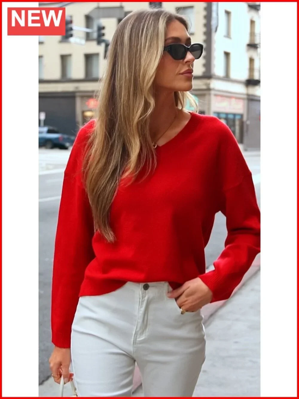 Women's Cozy V Neck Pullover Sweater Long Sleeve Knit Top